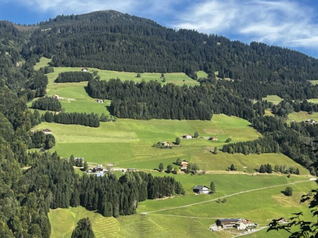 img 9090