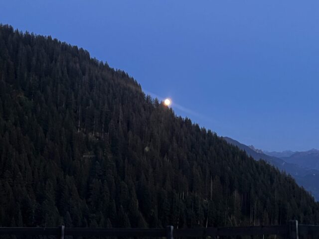 img 9141
