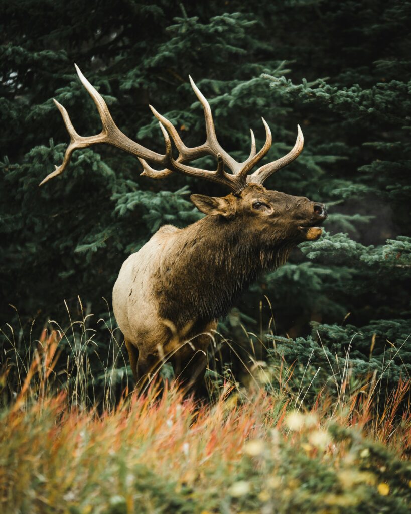 andrew ly 5aftazshddq unsplash