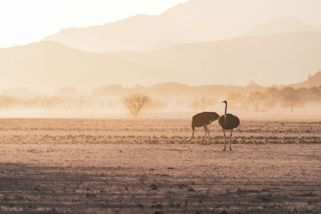 eelco bohtlingk 6dhyih6evrg unsplash