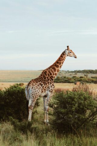 weyland swart gqdmotg2v5q unsplash